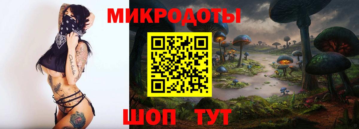 Галлюциногенные грибы GOLDEN TEACHER Пушкино