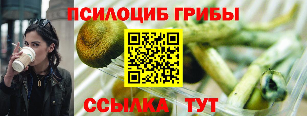 Псилоцибиновые грибы Psilocybine cubensis  Галлюциногенные грибы мухоморы  Пушкино  где купить наркоту  Вход с VPN 